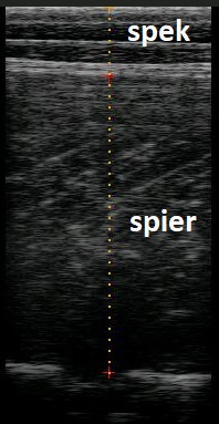 titel_foto