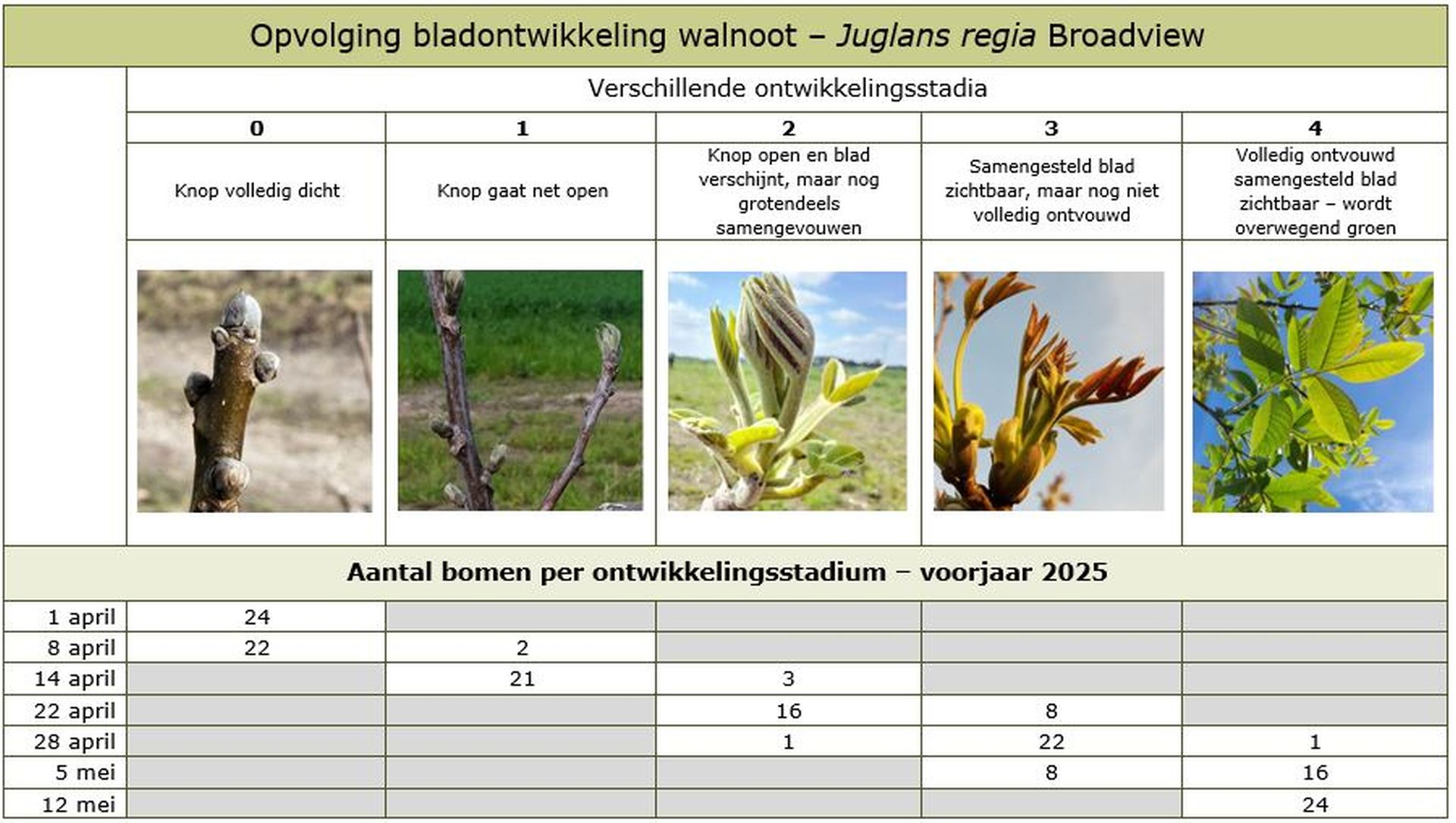 Focuspunt voorbeeldafbeelding