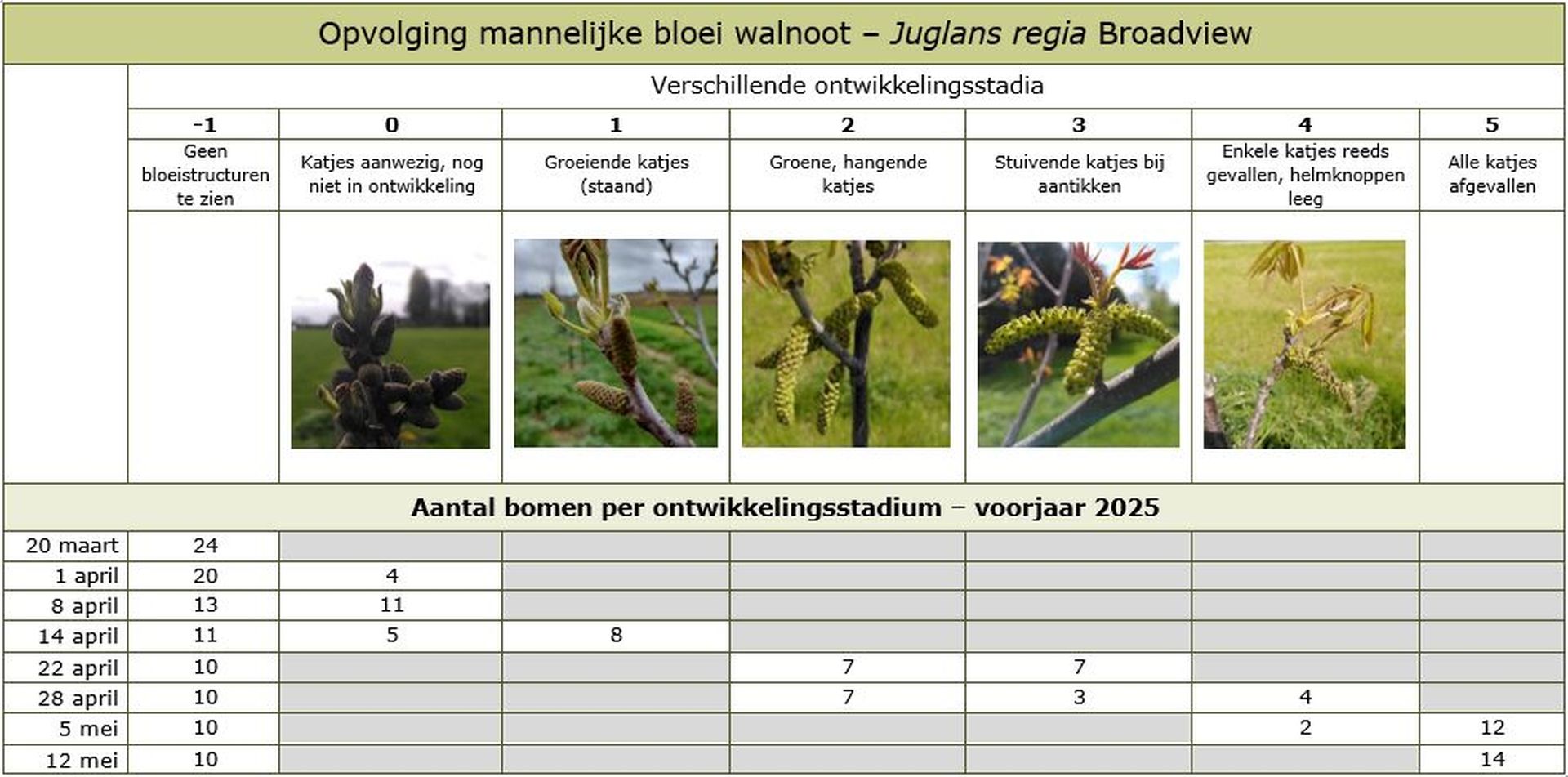 Focuspunt voorbeeldafbeelding