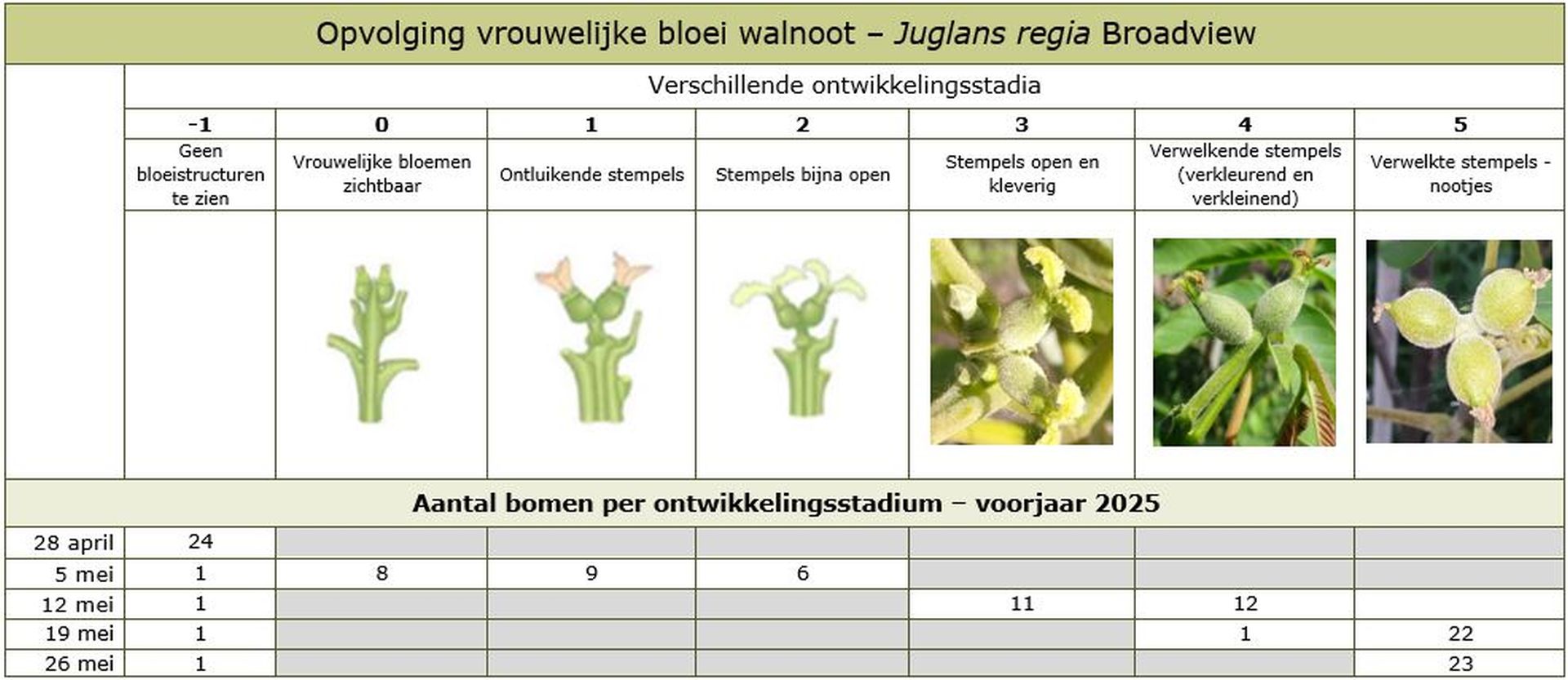 Focuspunt voorbeeldafbeelding