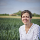 Vrouw zit neer tussen graan