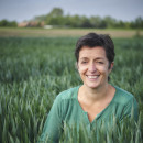 Vrouw zit neer tussen graan