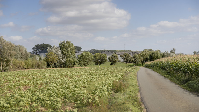 landschappelijke integratie van stallen met hoogstammige bomen