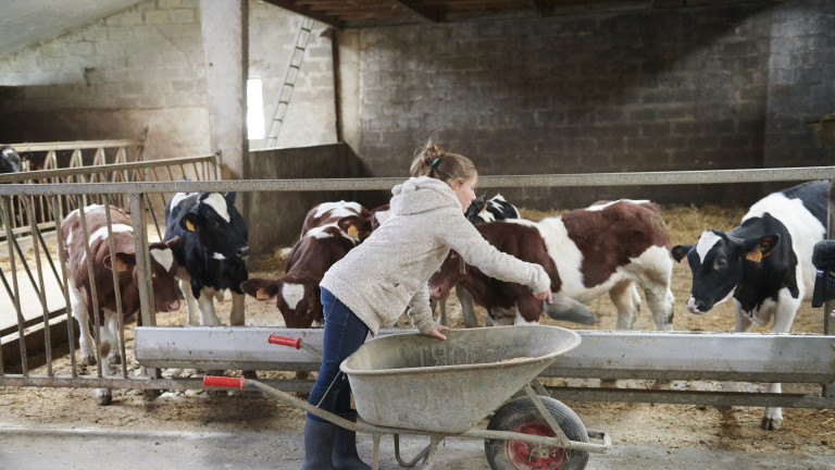 Schoon Boeren 2019 Meerschhof