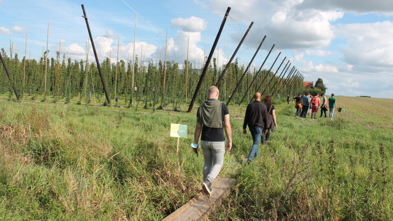 Themabeeld wandeling landbouw