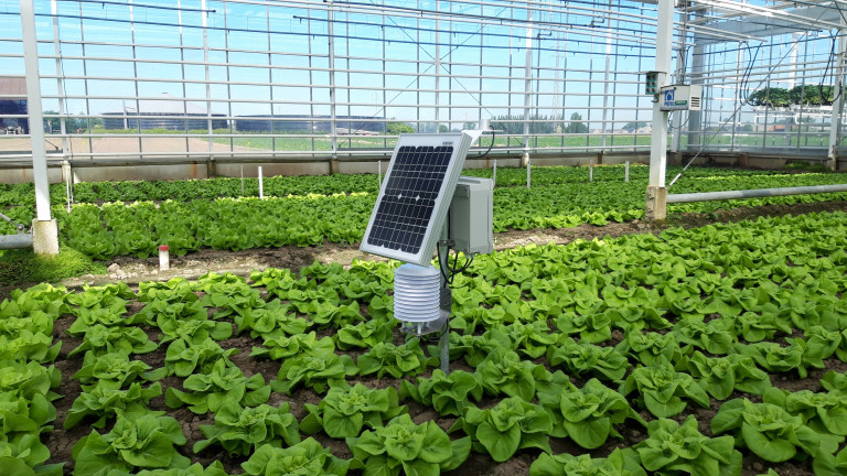 MIRLET-sensormodule in slateelt