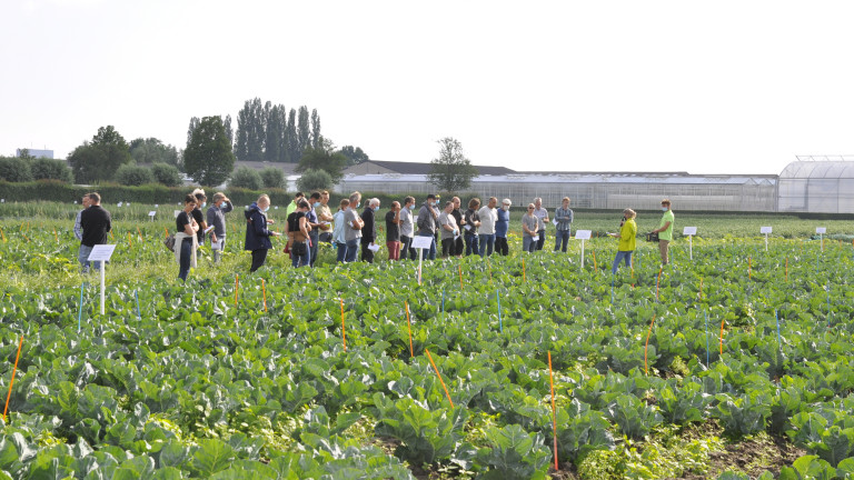 Biovolddag okt 2021 bloemkool 