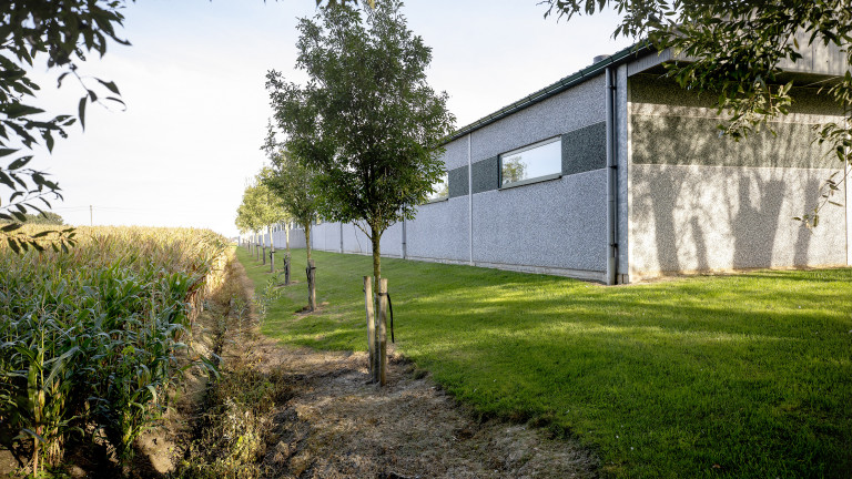 Beplanting naast stal