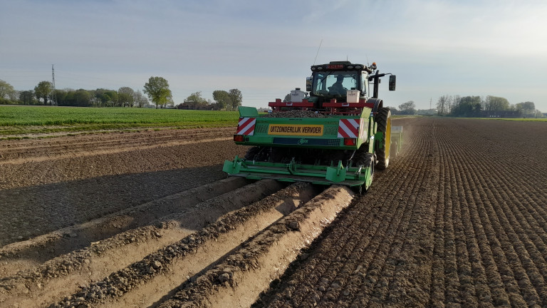 Planten aardappel