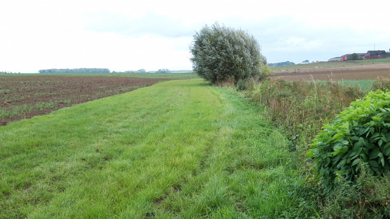 bufferzone langs waterloop
