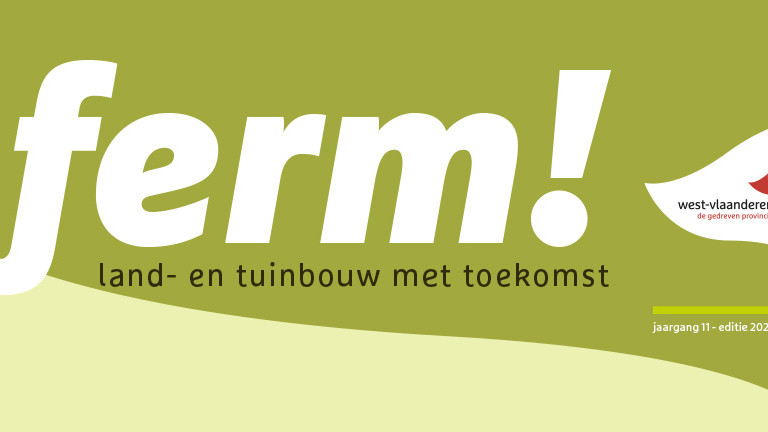 Header FERM 2023