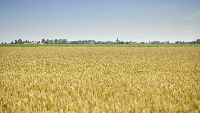 Sfeerbeeld landbouw west-vlaanderen