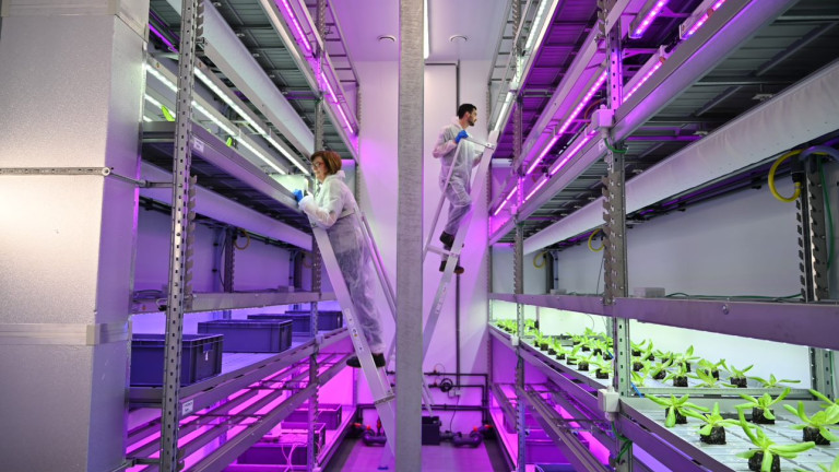 Agrotopia_Meerlagencontainer