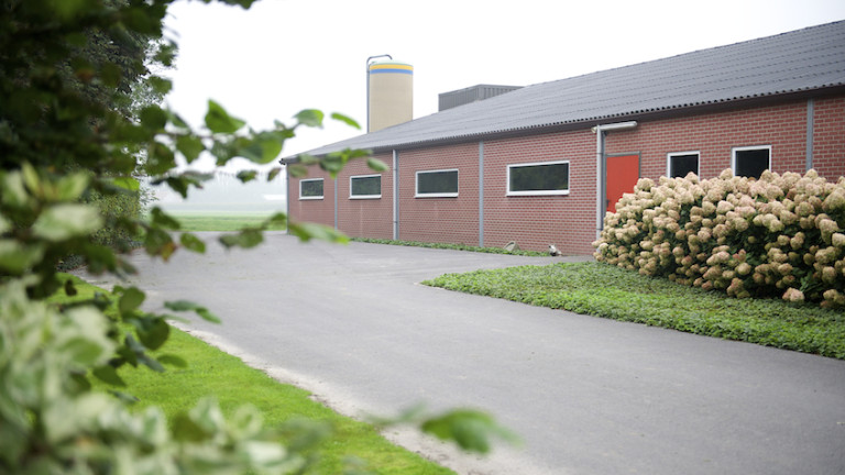 Varkenshouderij