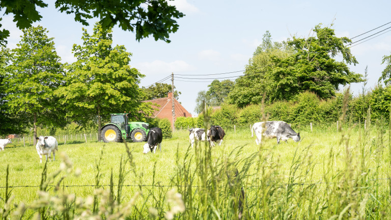 Sfeerfoto landschappelijke integratie