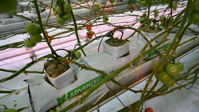 Growbag Advanced van Klasmann-Deilmann 