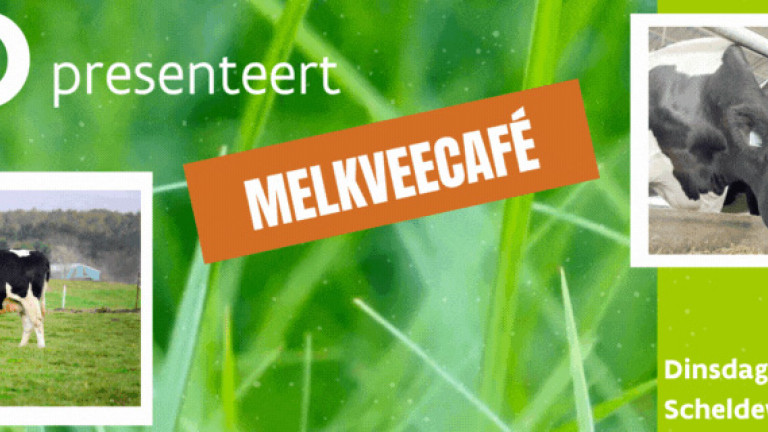 melkveecafé