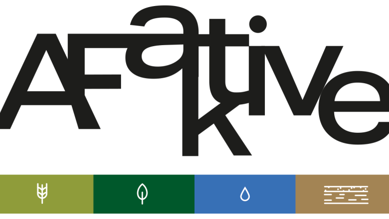 Logo AFaktive