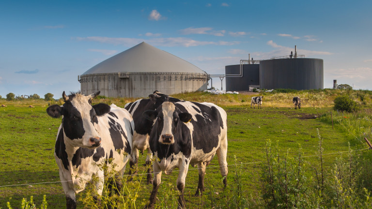 Biogasinstallatie