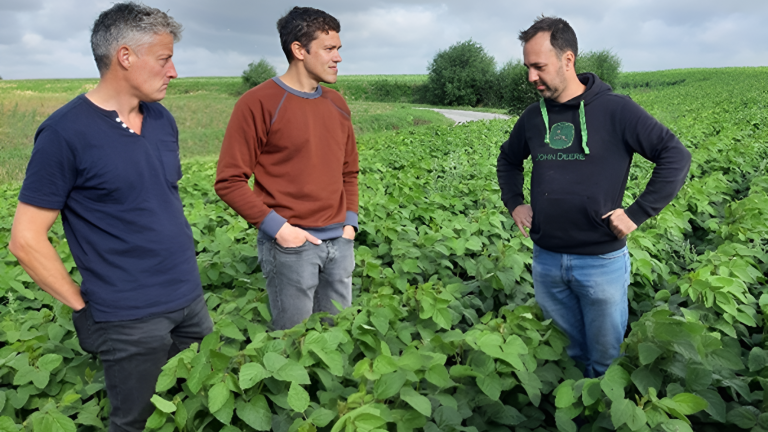 Locosoy bio landbouwers soja