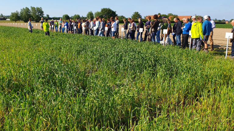 BIovelddag 2024 juni overzicht