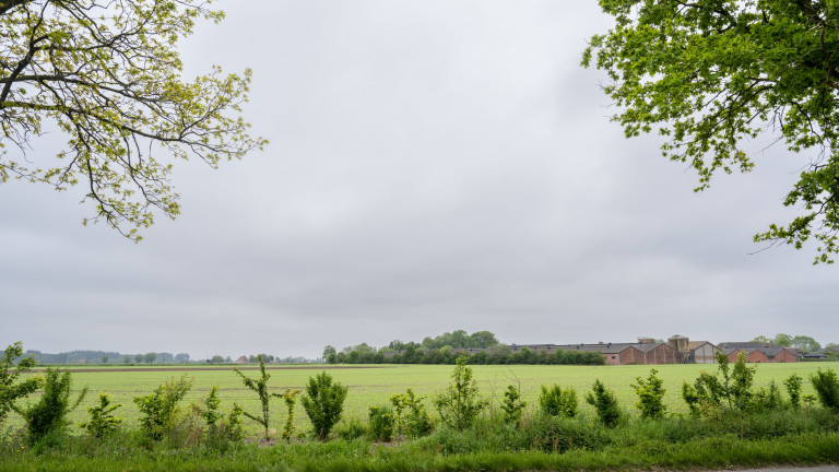 Bedrijf in het landschap met struiken