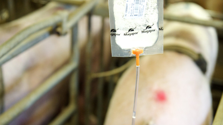 inseminatie zeug
