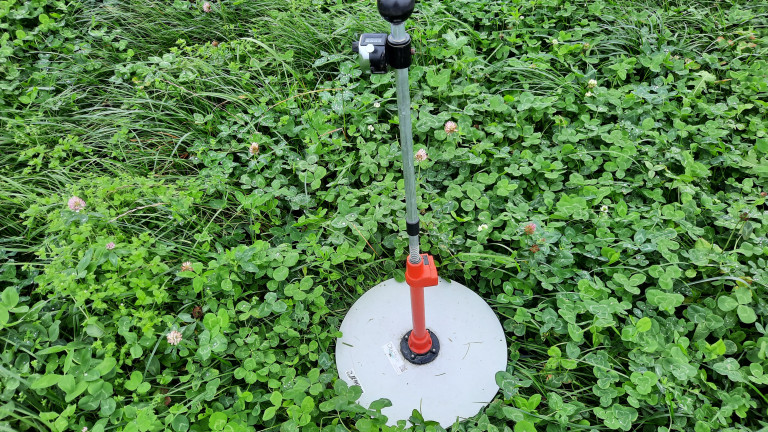 Grashoogtemeter in grasklaver