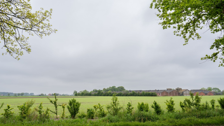 Landbouwbedrijf in landschap