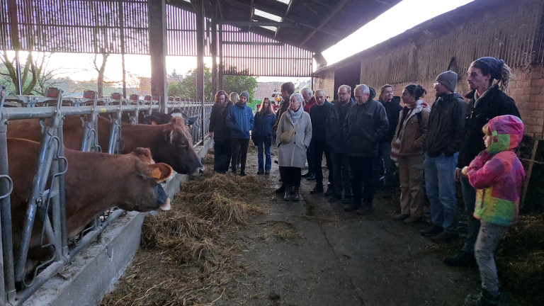Terreinbezoek bioboerderij De Zwaluw - deelnemers in stal met koeien
