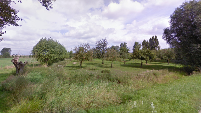 Hoogstamboomgaard op provinciedomein De Baliekouter in Wakken