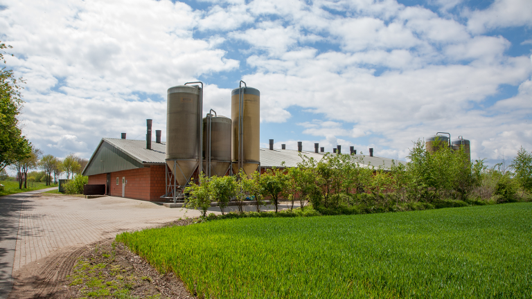 Stal_varkens_AdobeStock_259610333_credit_agrarmotive_compr.png