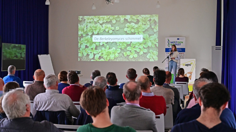 Berkveld slotevent