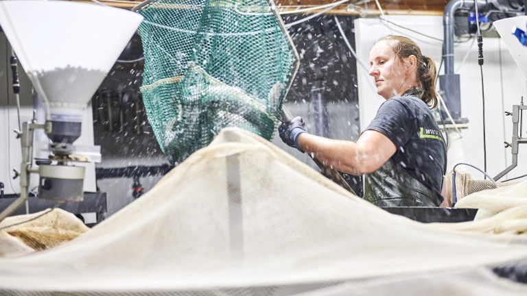 Aqua_actie_snoekbaars