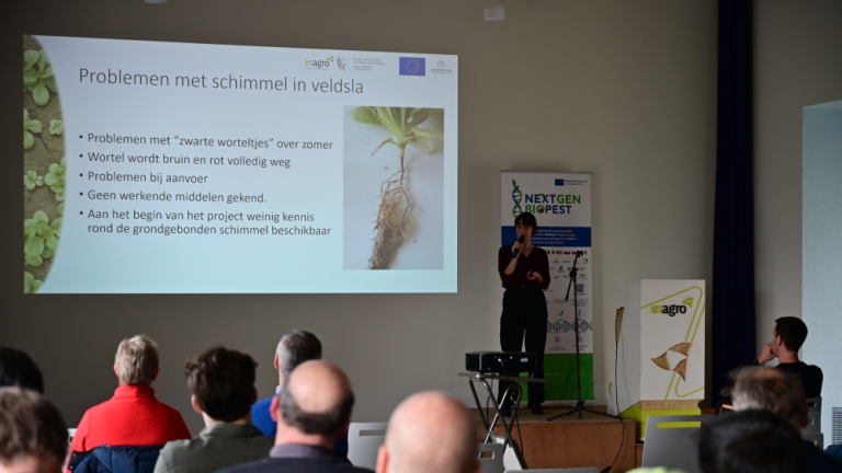 Mensen wonen presentatie bij over bladgewassen