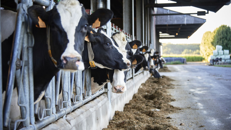 AgriClimate banner