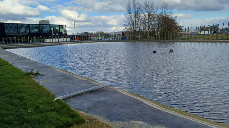 Foliebassin_Willaert2