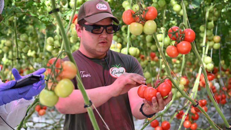Smart glasses virtuele bril harvest aid