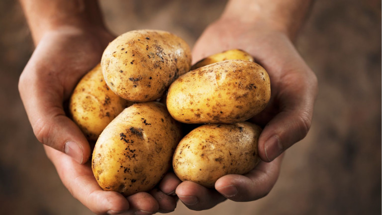 Aardappelen in handen die een schaaltje vormen