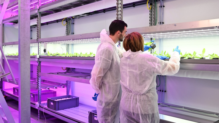 Twee onderzoekers in agrotopia