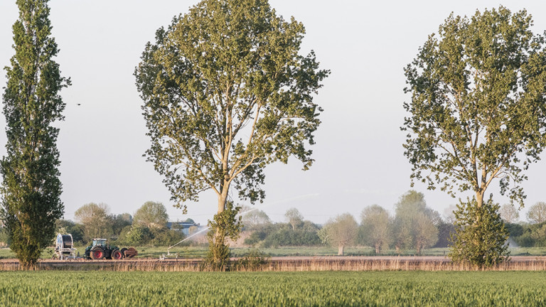 Foto Bob Van Mol