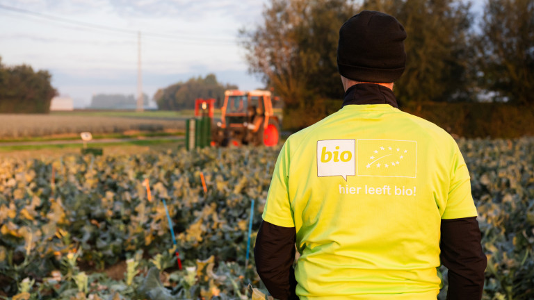 Bio oogst broccoli