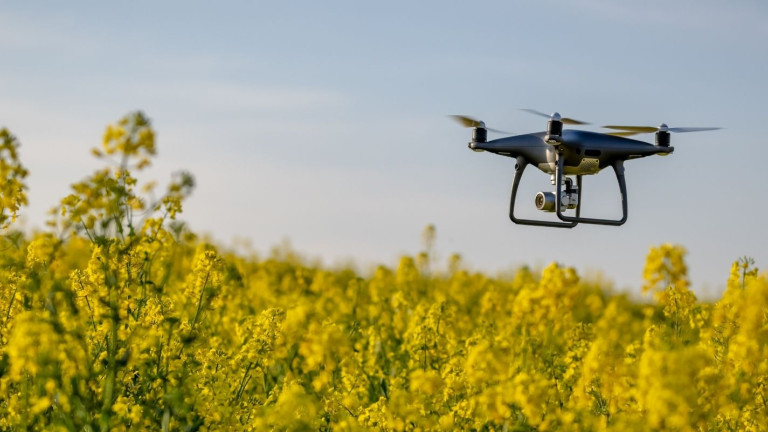 Drone vliegt boven veld met gewas
