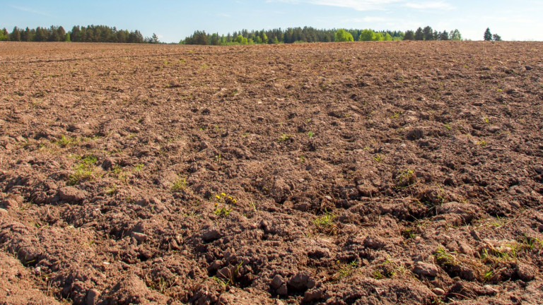 Veld braak met bomen in de achtergrond