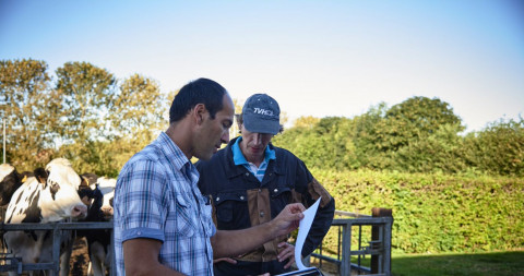 man geeft uitleg aan een andere man met koeien op de achtergrond