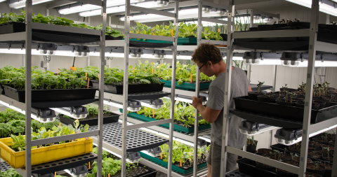 onderzoeker in klimaatkamer