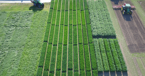 Luchtbeeld proefvelden