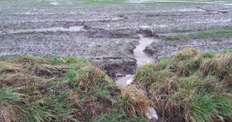 afstroom gracht