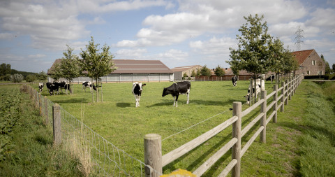 landschappelijke integratie 7