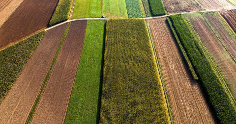 Colorful countryside fields